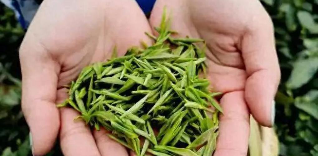 医生研究发现：一旦患上糖尿病，吃饭一定要注意4点，别害了自己